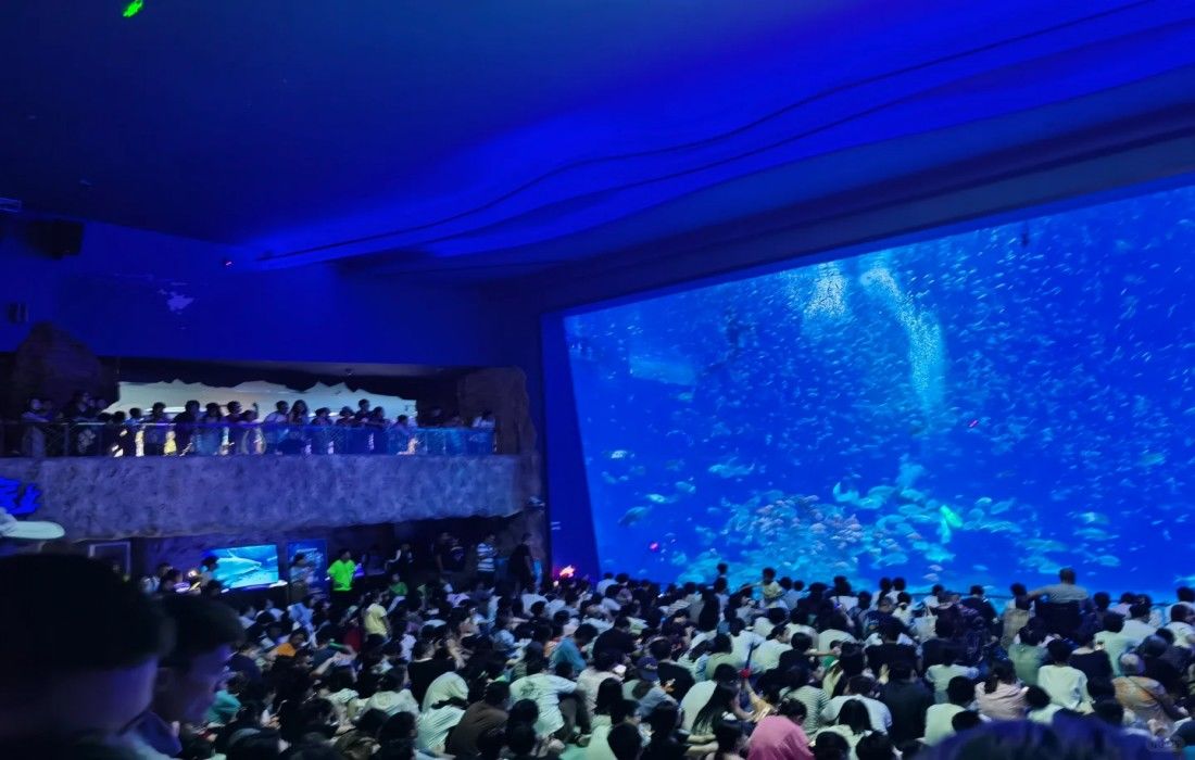 上海海洋水族馆