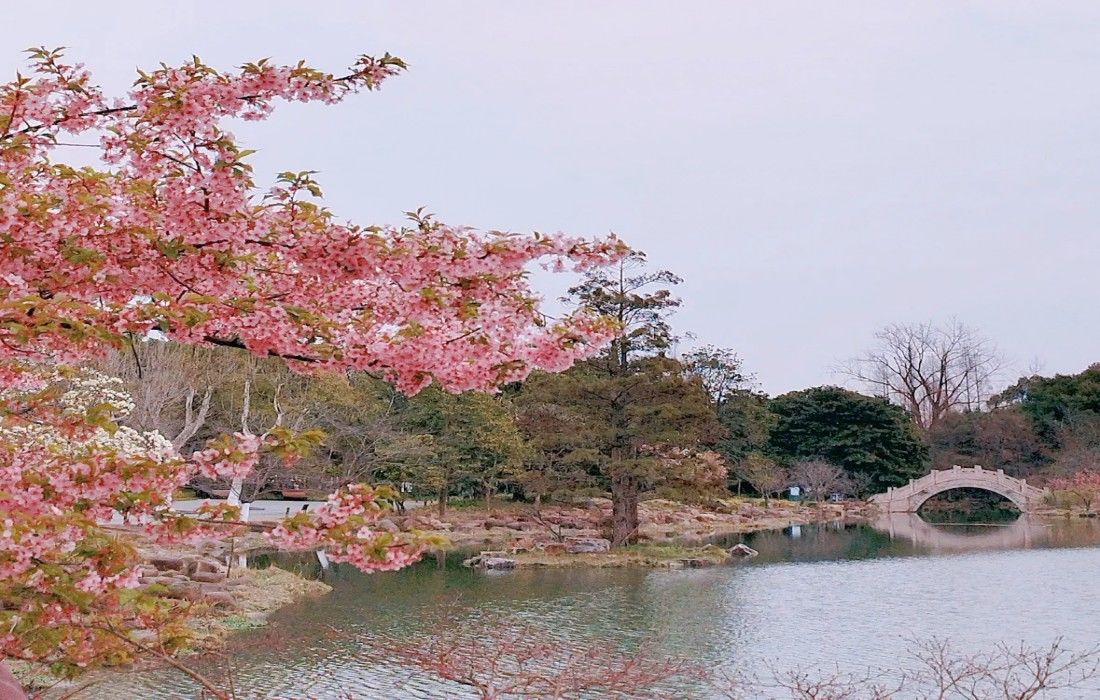 上海植物园