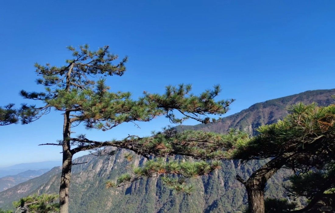 大明山自然探索公园