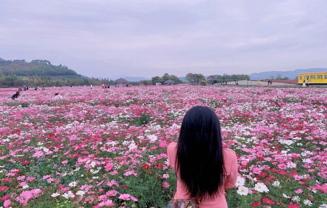 径山花海