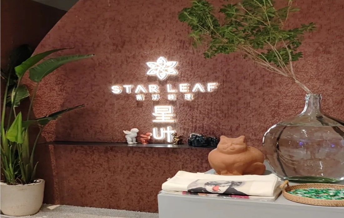 STARLEAF 星叶南阳料理 形象店